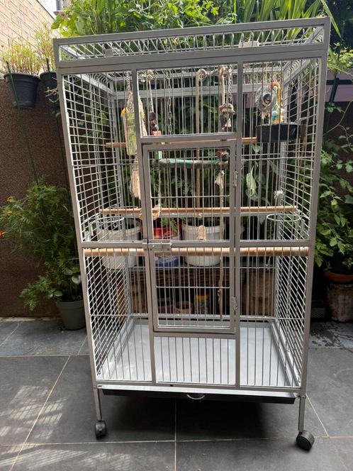 Papegaai Kooi, Dieren en Toebehoren, Vogels | Parkieten en Papegaaien