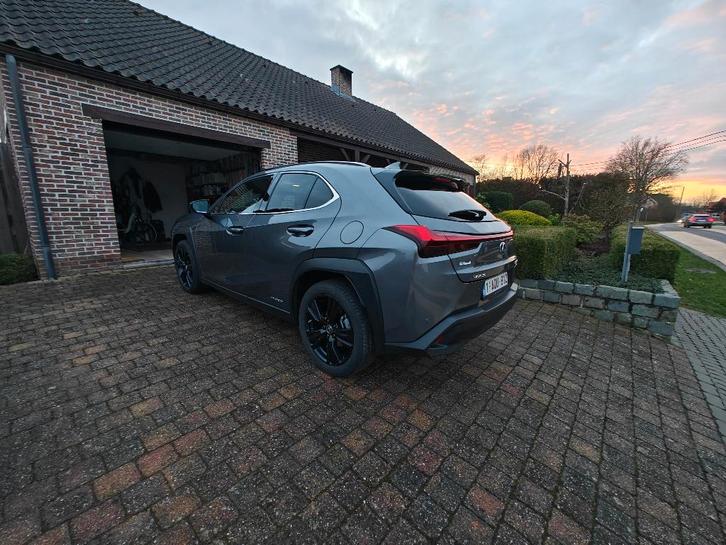 Auto Lexus UX, Auto's, Lexus, Particulier, UX, ABS, Achteruitrijcamera, Adaptive Cruise Control, Airbags, Airconditioning, Alarm