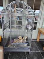 Vogelkooi, Dieren en Toebehoren