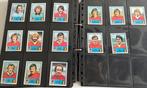 Panini Euro 80 team Belgie compleet 'collectros item', Verzamelen, Verzenden, Zo goed als nieuw, Poster, Plaatje of Sticker