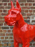 Prachtige rode Deense dog XL, Enlèvement, Neuf