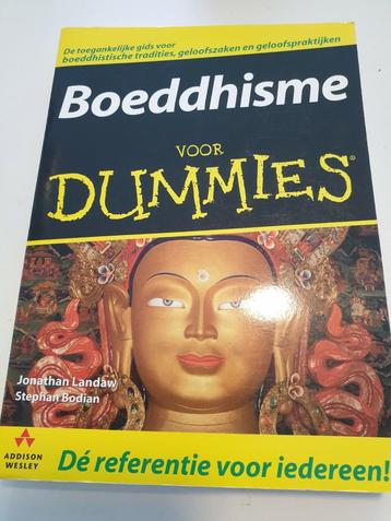 J. Landaw - Boeddhisme voor Dummies beschikbaar voor biedingen