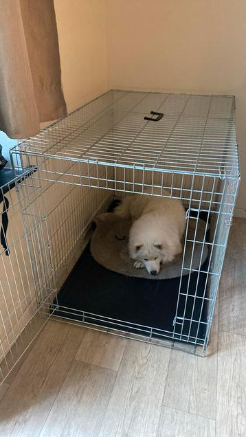 XXL-kooi, Dieren en Toebehoren, Hondenbenches, Ophalen, Zo goed als nieuw
