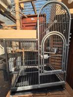Papegaai kooi, Dieren en Toebehoren, Vogels | Hokken en Kooien, Ophalen