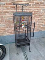 Cage oiseaux perruche Calopsy perroquet, Dieren en Toebehoren, Vogels | Hokken en Kooien, Ophalen, Zo goed als nieuw, Metaal