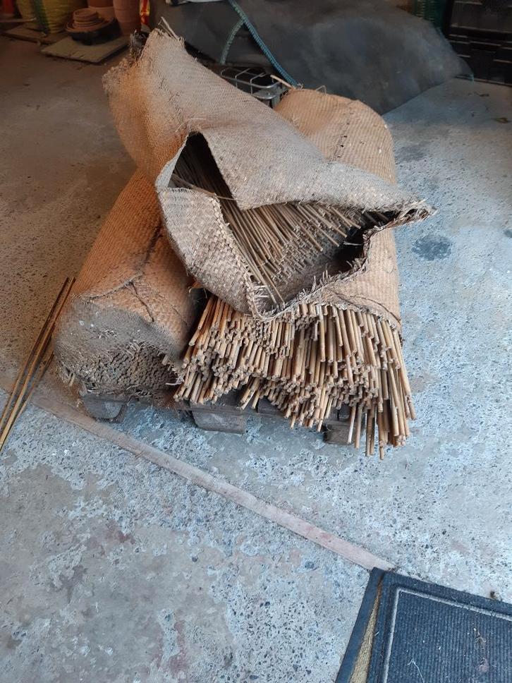 Bamboestokken, Tuin en Terras, Palen, Balken en Planken, Nieuw, Overige typen, Minder dan 180 cm, Ophalen