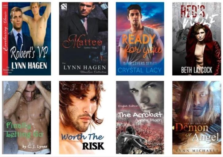 Groot lot Engelse gay romans, Livres, Romans, Comme neuf, Amérique, Enlèvement