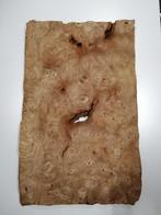 Placage de loupe d'orme, 65x40 cm, Matériel, Envoi, Neuf