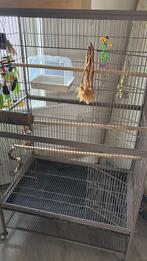 Mooi groot valkparkiet kooi, Dieren en Toebehoren, Vogels | Hokken en Kooien, Ophalen, Zo goed als nieuw