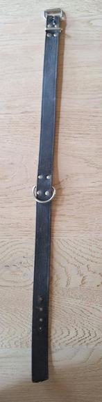 Halsband hond leder, Enlèvement ou Envoi, Neuf