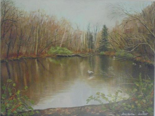 olieschilderij River Nature (60x80cm), Antiek en Kunst, Kunst | Schilderijen | Klassiek, Ophalen of Verzenden
