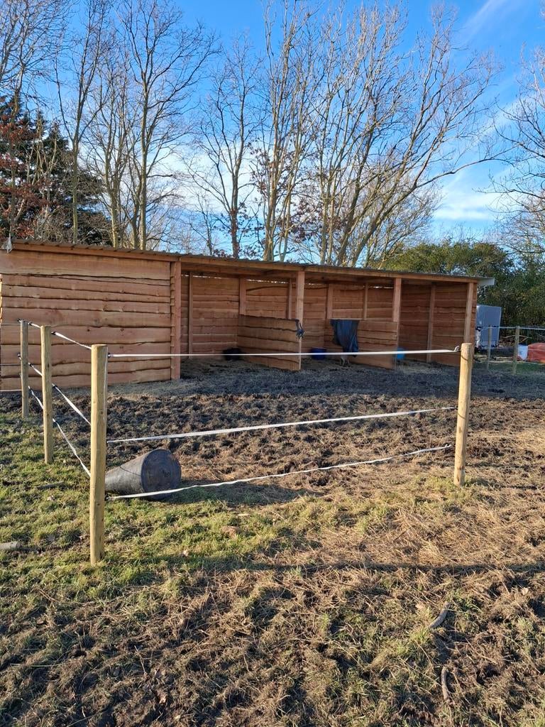 Schuilhokken, Dieren en Toebehoren, Stalling en Weidegang