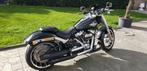 Mooie custom Harley davidson, 2 cilinders, Chopper, Particulier, Meer dan 35 kW