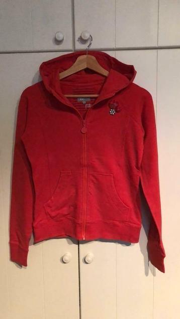 Trui - 170/176 - JBC - Perfecte staat - Warmrood - met kap. beschikbaar voor biedingen