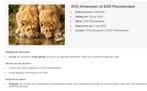 4 tickets voor Planckendael, Drie personen of meer, Ticket of Toegangskaart