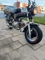 Dax 50cc b-klasse, Vélos & Vélomoteurs, Cyclomoteurs | Honda, 4 vitesses, 49 cm³, Comme neuf, Classe B (45 km/h)