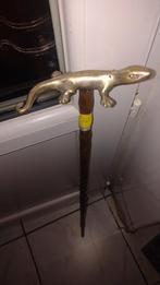 Riet (hagedis (salamander)), Antiek en Kunst
