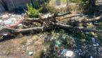 Hout gratis