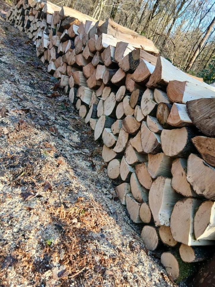 Bois de chauffage feuillus – Provision hiver 26/27, Jardin & Terrasse, Bois de chauffage, Bûches, Chêne, Envoi
