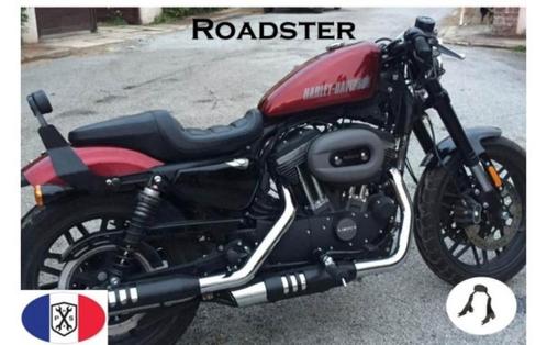 Harley davidson, afneembare sissybar Sportster Roadster, Motoren, Onderdelen | Harley-Davidson, Gebruikt, Ophalen