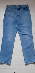 Levi's straight 31, Levi's, Envoi, Neuf, Bleu