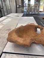Massieve houten schaal – uniek decoratiestuk, Ophalen, Zo goed als nieuw, Hout