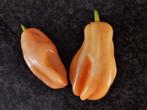 5 zaden Habanero dulce  - zalmkleur - biologische teelt, Tuin en Terras, Verzenden, Voorjaar, Volle zon, Zaad