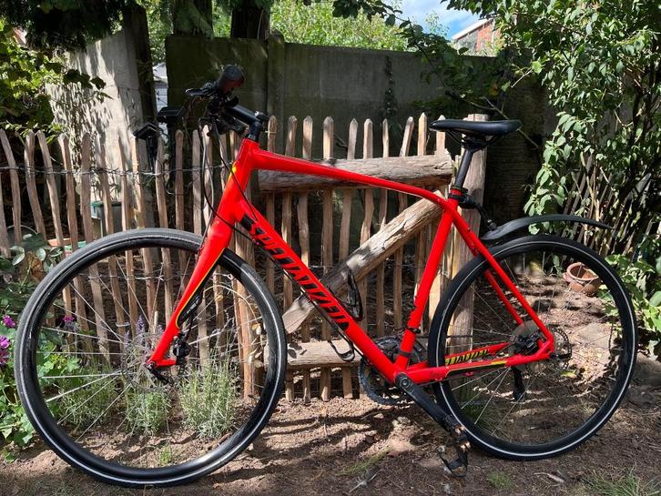 Specialized Sirrus Elite Disc XL, Fietsen en Brommers, Fietsen | Heren | Sportfietsen en Toerfietsen, Zo goed als nieuw, Overige merken