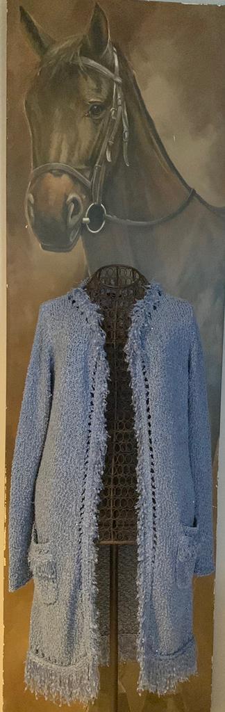 Caroline Biss 36 Warme lange vest/gilet NIEUWSTAAT, Kleding | Dames, Truien en Vesten, Zo goed als nieuw, Maat 36 (S), Blauw, Ophalen of Verzenden