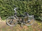 Koga Miyata Elektrische Herenfiets ( Defecte accu ), Gebruikt, Versnellingen, 53 tot 57 cm, Ophalen