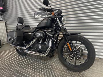 ALS NIEUW! H-D XL883 Iron Sportster + Garantie + Onderhoud beschikbaar voor biedingen