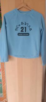 Sweatshirt/Spirit/maat s, Kleding | Dames, Truien en Vesten, Blauw, Ophalen of Verzenden, Maat 36 (S), Gedragen