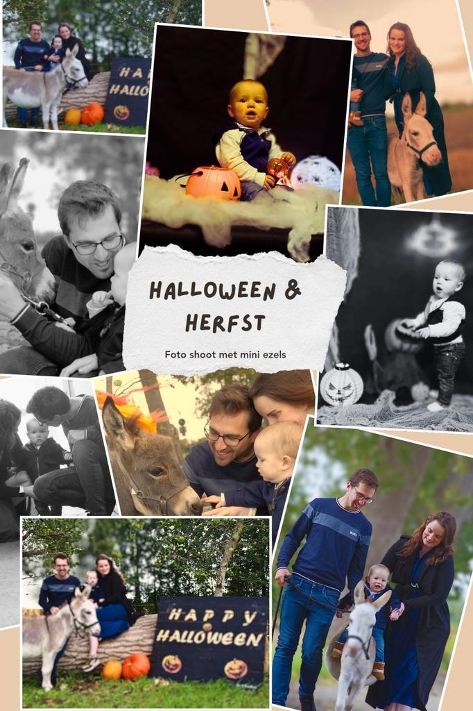 Herfst & Halloween foto shoot met mini ezels, Audio, Tv en Foto, Fotoalbums en Accessoires, Nieuw, Ophalen