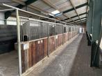 Paardenboxen 350 x 300 draaibaar 9 stuks