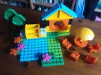 Bouwstenen Maya De bij, cadeautje?, Kinderen en Baby's, Ophalen, Zo goed als nieuw, Complete set, Duplo