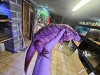 Couples tegu Rufescens Rouge adulte, Dieren en Toebehoren, Reptielen en Amfibieën