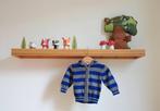 Hoodie Filou & Friends grijs blauw gestreept - Maat 74, Kinderen en Baby's, Babykleding | Maat 74, Gebruikt, Truitje of Vestje