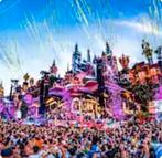 1x Ticket Tomorrowland vrijdag 24/07, Tickets en Kaartjes, Evenementen en Festivals, Eén persoon