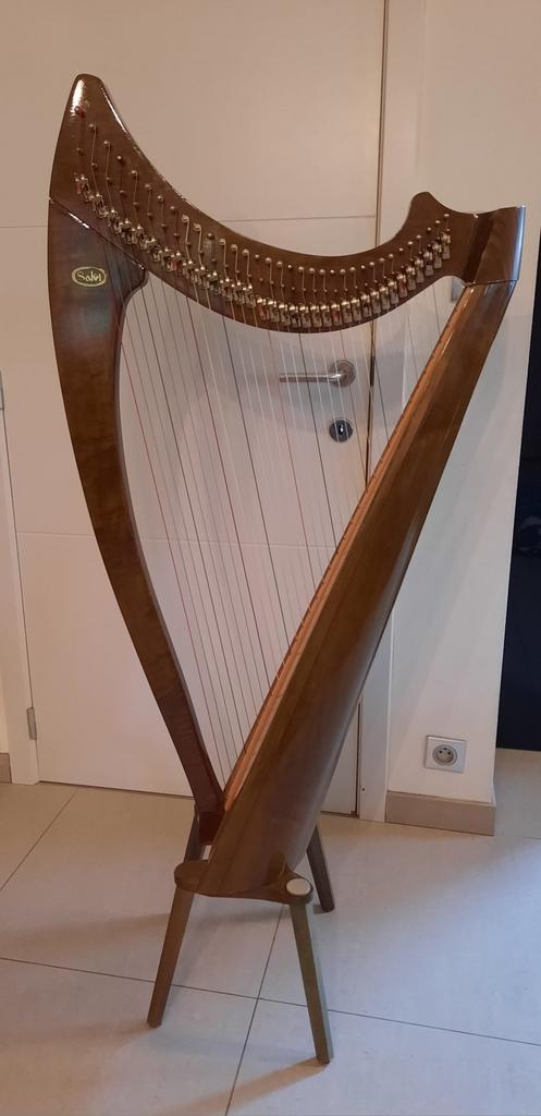 Te huur: klepjesharp Salvi 34 snaren, Muziek en Instrumenten, Snaarinstrumenten | Harpen, Zo goed als nieuw, Ophalen