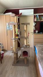 Arbre à chat, Animaux & Accessoires, Enlèvement, Utilisé