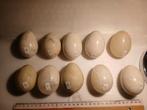 Natuurstenen marmer eieren 10st, Ophalen of Verzenden