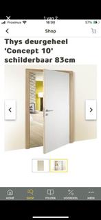 Thys schildersdeur met kader nieuw, Doe-het-zelf en Bouw, Deuren en Vliegenramen, Ophalen, Nieuw