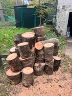 Hardhout brandhout 1,5m3, Tuin en Terras, Brandhout, Minder dan 3 m³, Ophalen, Overige houtsoorten, Stammen