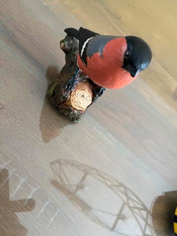 Prachtig kwalitatief beeld vink prima staat beschikbaar voor biedingen