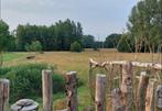 Landbouwgrond te huur (16are), Houthalen, 1500 m² of meer