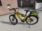 Fiets E-BIKE RIESE & MULLER, 49 tot 53 cm, Ophalen, Zo goed als nieuw, Overige merken