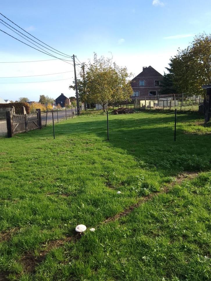 Kleine weide te huur Bekkevoort (Assent), Dieren en Toebehoren, Stalling en Weidegang