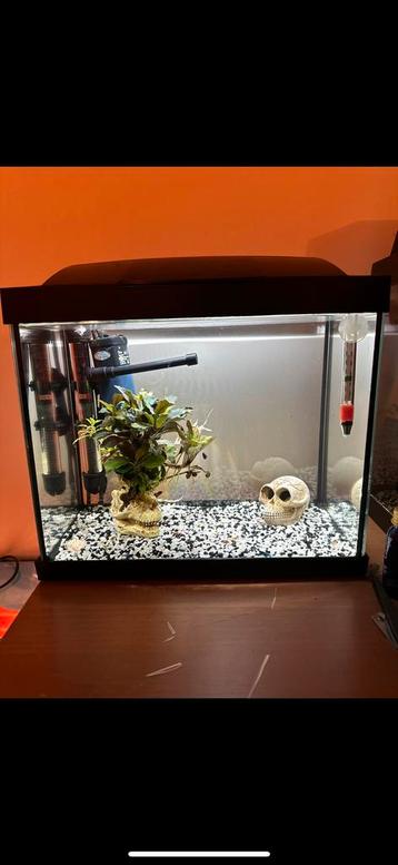 Aquarium 25L toestellen compleet beschikbaar voor biedingen