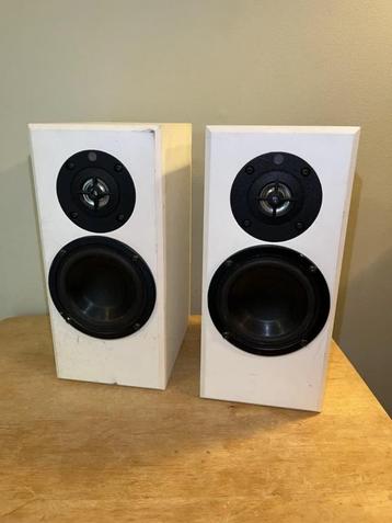 Paire de capteurs de rêves Totem Acoustic, Autres marques, Enlèvement ou Envoi, 60 à 120 watts, Utilisé