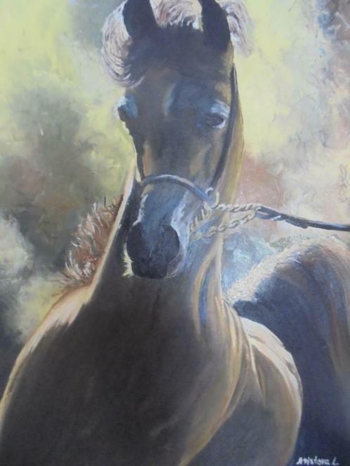 faire réaliser une peinture à l'huile sur commande (cheval), Antiquités & Art, Art | Peinture | Classique, Enlèvement ou Envoi